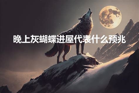 蝴蝶飞来家里代表什么